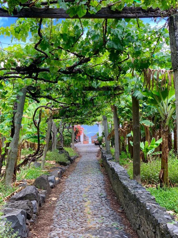 Faja Dos Padres Villa Ribeira Brava Dış mekan fotoğraf