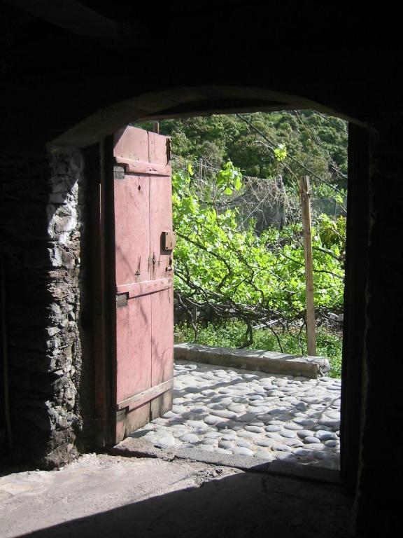 Faja Dos Padres Villa Ribeira Brava Dış mekan fotoğraf