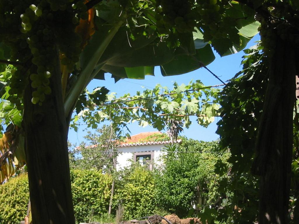 Faja Dos Padres Villa Ribeira Brava Dış mekan fotoğraf
