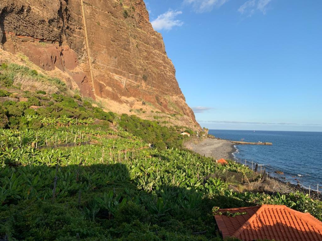 Faja Dos Padres Villa Ribeira Brava Dış mekan fotoğraf